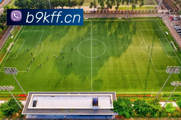 九游9官方入口品牌故事