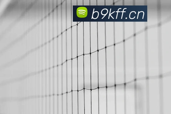 九游9官方入口服务体系